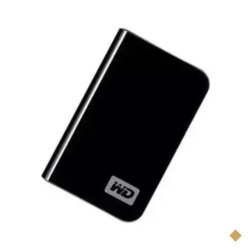 Western Digital My Passport Essential 160GB/Go USB 2.0 