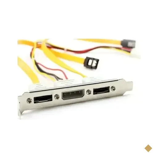 Bracket E-SATA 2 portas