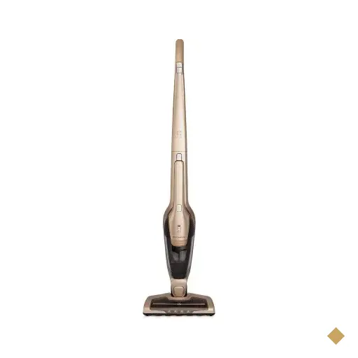 Aspirador De Pó Vertical Electrolux Ergorapido 2 Em 1,dourado Bocal Pet, Até…