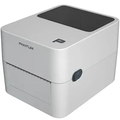 Impressora Térmica Pantum Pt-d160nw Bivolt