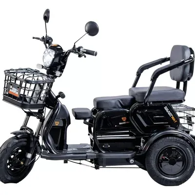 Triciclo Elétrico Power 600w Cadeira Recarregável Adulto Cor:preto