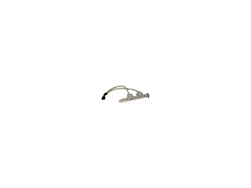 Cabo Adaptador USB 2.0 para Placa Mãe com 2 portas 20cm