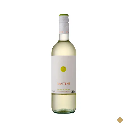 Vinho Branco Fantini Pinot Grigio 750ml