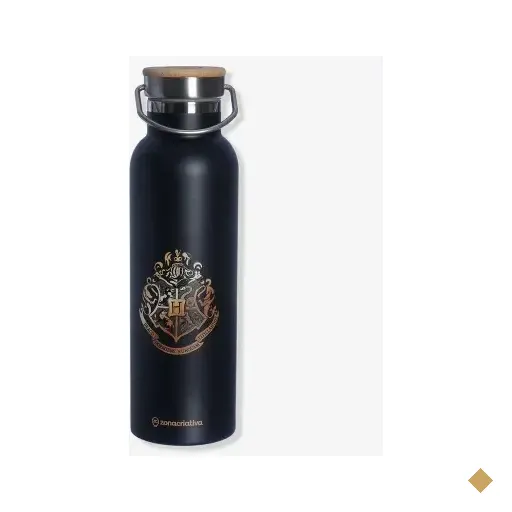 Garrafa Camp 600ml Hogwarts