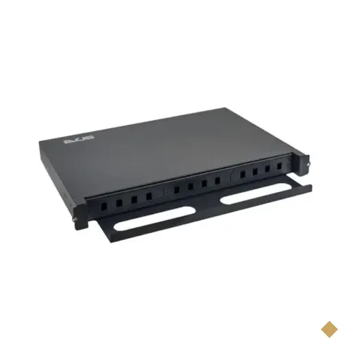 Caixa Dio 19 Polegadas Evus Ev-dio12 12fo Para Rack, Preto