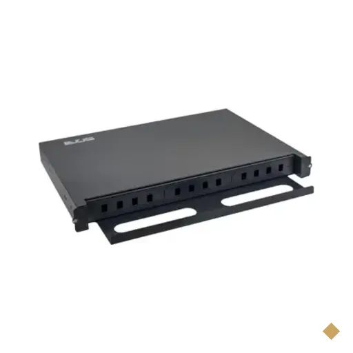 Caixa Dio 19" Evus Ev-dio12 12fo Para Rack Preto (7898597132845)