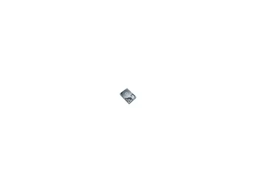 Western Digital 80GB 7200 RPM 8MB SATA 3.0Gb/s WD800JD