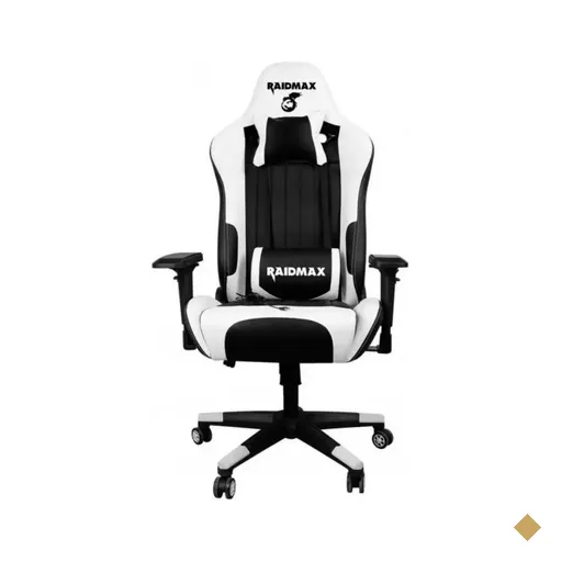 Cadeira Gamer Raidmax Drakon Gaming DK-707WT Branco com Preto