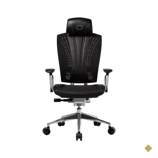 Cadeira Gamer Cooler Master Ergo L Preta/Prata