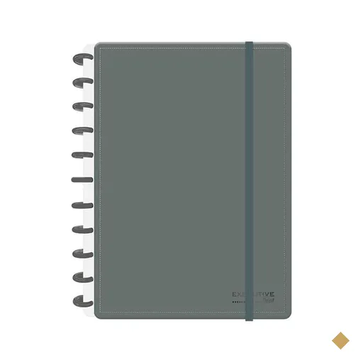 Caderno de Disco Brief Executive Cinza, Grande (200×275 mm) com 80 Folhas…