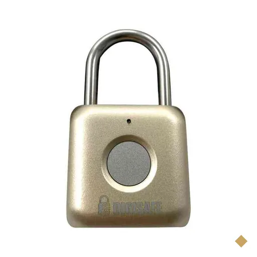 Cadeado com biometria, até 20 digitais, DP-SY51, Safewell - CX 1 UN