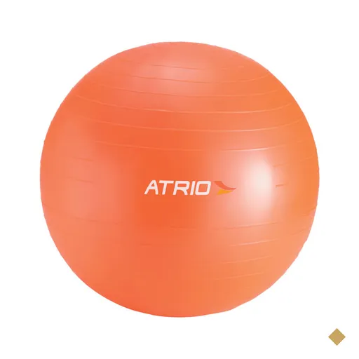 Bola De Ginástica 55cm De Diâmetro Material PVC Laranja Atrio - ES118OUT…