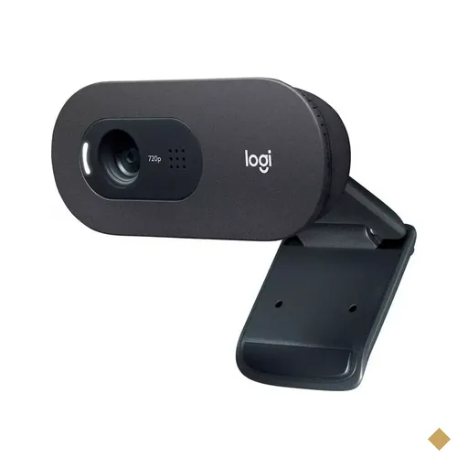 Webcam Logitech C505 HD 720p USB