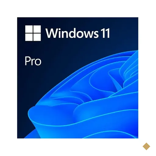 Microsoft Windows 11 Professional (64-bits) - COEM