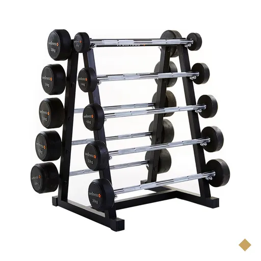 Kit 10 Barras Retas Montadas Emborrachadas Deluxe 10 a 46Kg Wellness - WK031OUT…