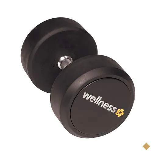 Dumbell Emborrachado Deluxe 22 kg - Wellness - WK121OUT [Remanufaturado]