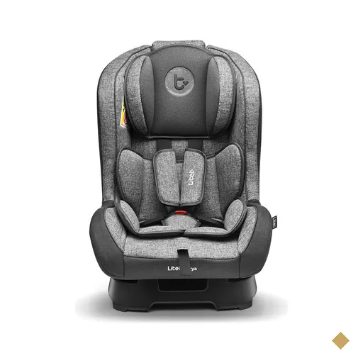 Cadeira Para Auto Arya 0-25 Kg Cinza Litet - BB449OUT [Reembalado]
