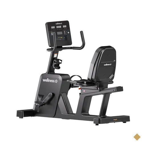 Bike Horizontal RB9000 Wellness - GY116