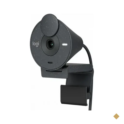 Webcam Logitech Brio 300 1080p Grafite USB-C