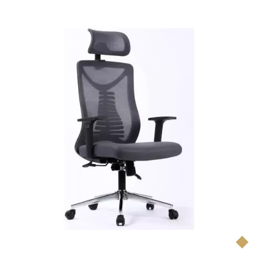 Cadeira Office Ergo Elite BCOE-01