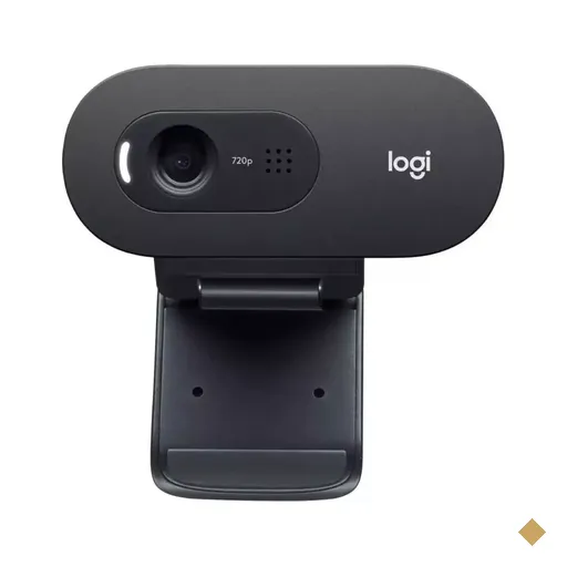Webcam Logitech C505e HD Business 720p USB