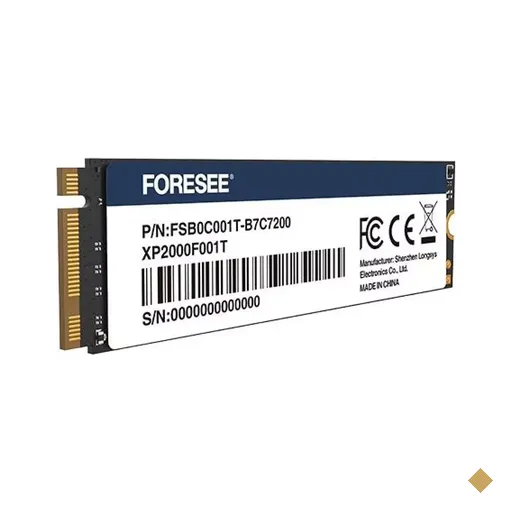 SSD Foresee XP2000 256GB M.2 2280 NVMe PCIe 4.0 x4 FSB0C256G OEM