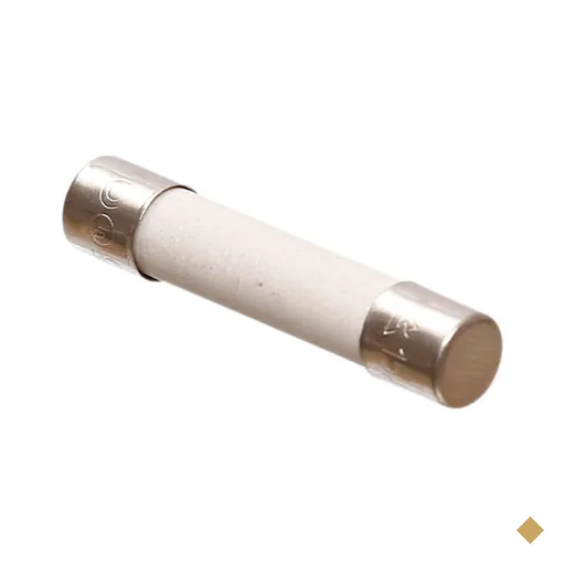 Fusível 110V para Microondas