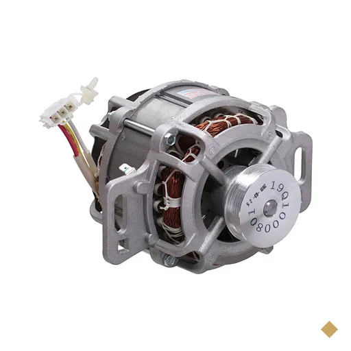 Motor 220V para Máquina de Lavar