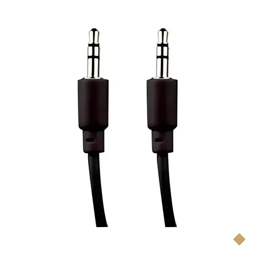  Cabo P2 (M) x P2 (M) 1m Preto - Evus