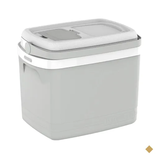 Caixa Térmica Cooler 32l Cinza Tropical Soprano