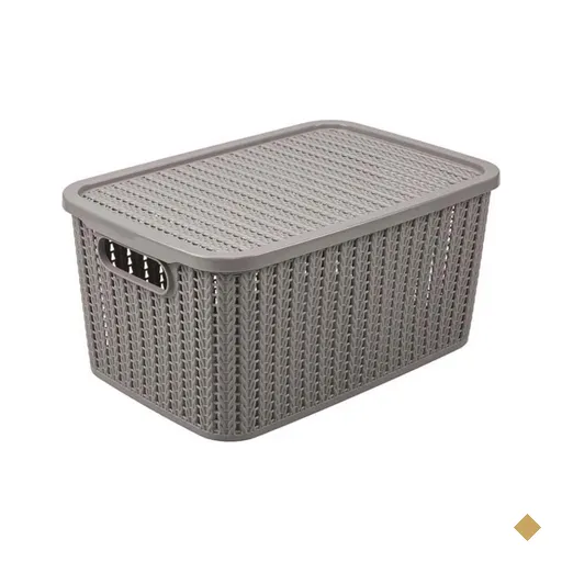 Caixa Organizadora Plasútil Com Tampa 4,7 Litros - Fendi