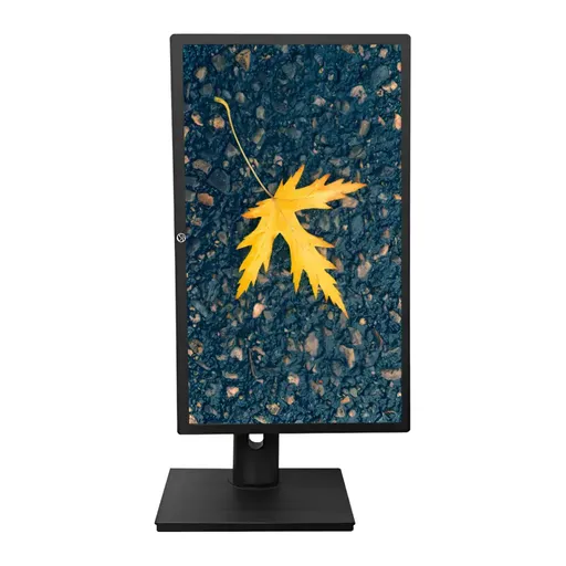 Monitor BrazilPC 21,5″ LED Ergonômico, Antirreflexo (1920x1080, HDMI, 75Hz)…
