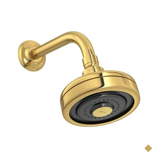 Chuveiro com Tubo de Parede Acqua Plus Standart Gold Deca Cod: 1990.gl.std