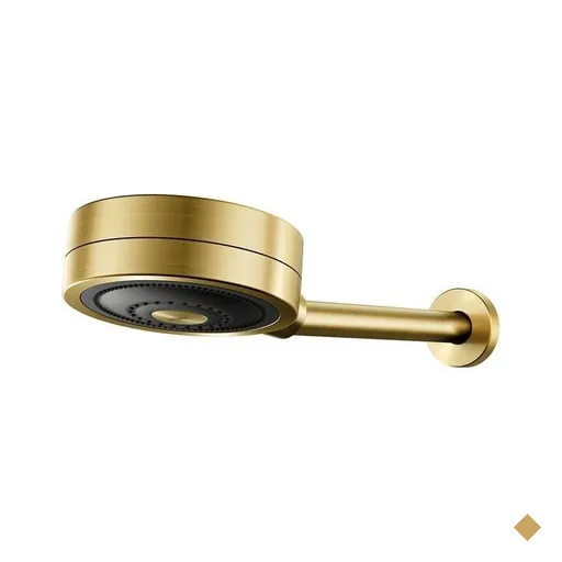 Chuveiro Docol Novo Technoshower 1204872 de Parede Ouro Escovado
