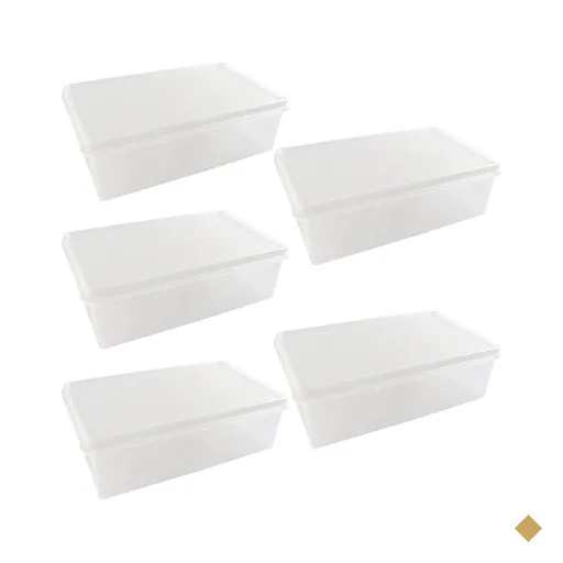 Kit 5 Caixas Organizadoras 3,5L Tampa Hermética Empilhável Plasvale Closet