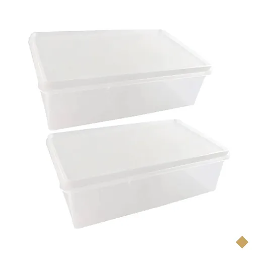 Kit 2 Caixas Organizadoras Plásticas 3,5L Empilhável com Tampa Plasvale…