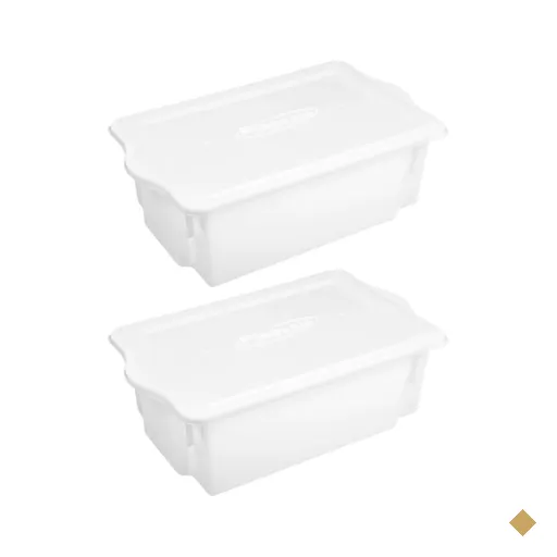 2 Caixas Organizadoras de Alimentos 24,5L com Tampa Restaura