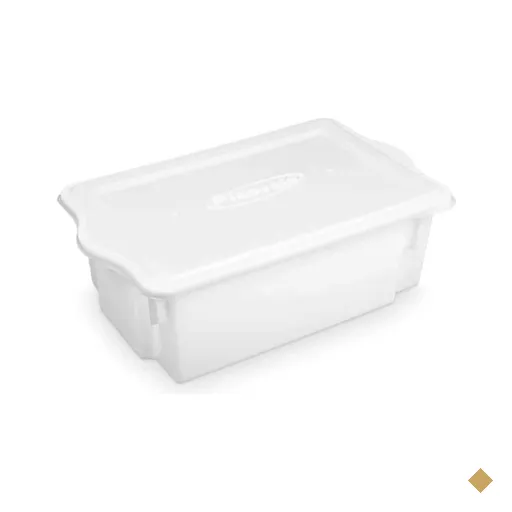 8 Caixas Plásticas Organizadoras de Alimentos 24,5L Branca c
