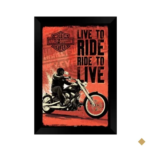 Quadro Decorativo Moto Harley MDF 50 x 35 C028 - Preto