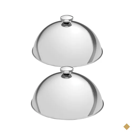 Kit 2 Cloches 24,5cm Aço Inox Tampa para Alimentos Tramontina Service…