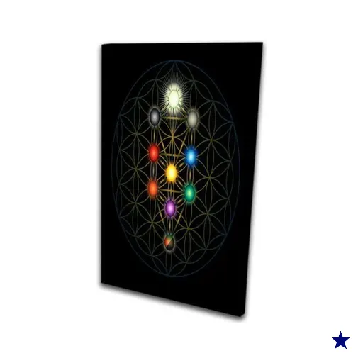 Quadro Decorativo Sala Cozinha Flor Mandala Ponto De Luz