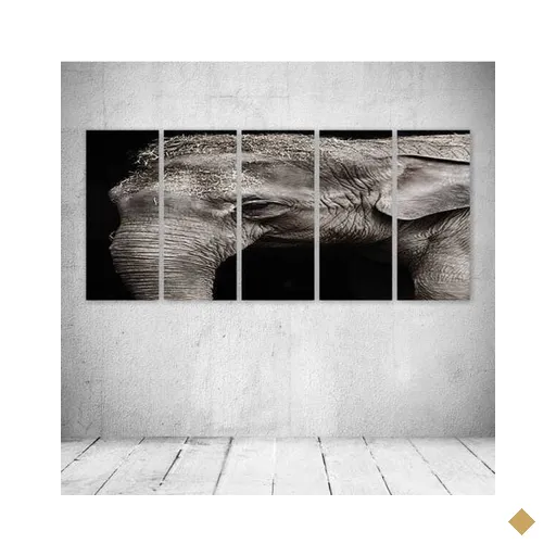 Quadro Decorativo - Animal - Composto de 5 Quadros