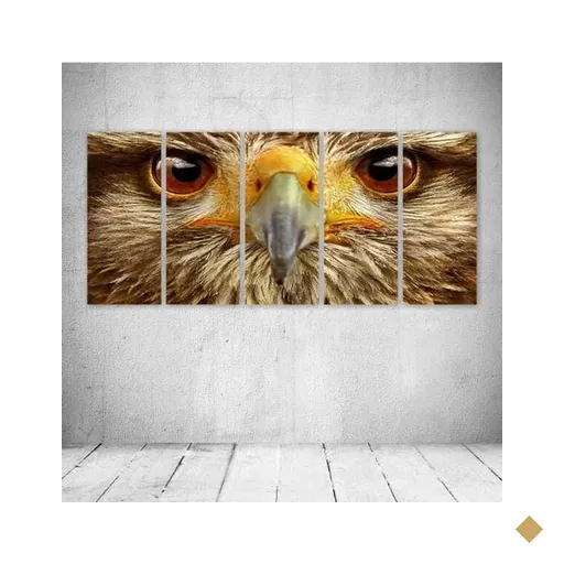 Quadro Decorativo - Animal Eyes - Composto de 5 Quadros