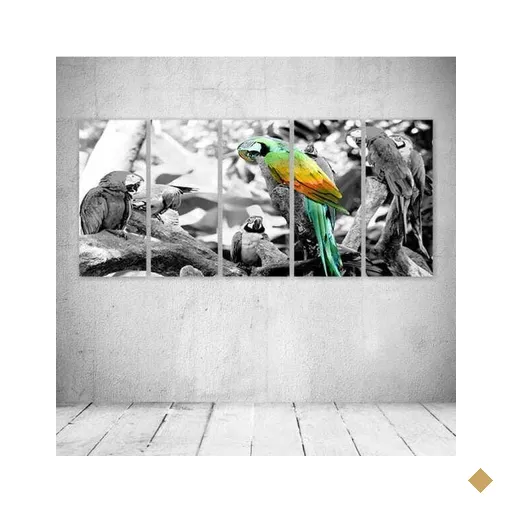 Quadro Decorativo - Arara - Composto de 5 Quadros