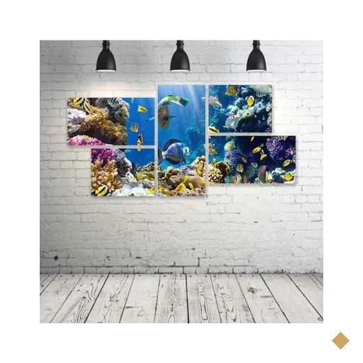 Quadro Decorativo - Tropical-Fish-Underwater-Sea-Ocean-Seal - Composto de 5…