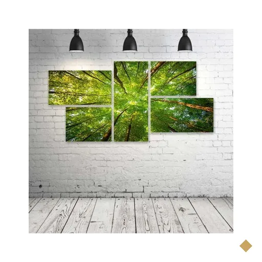 Quadro Decorativo - Trees-Sunlight - Composto de 5 Quadros