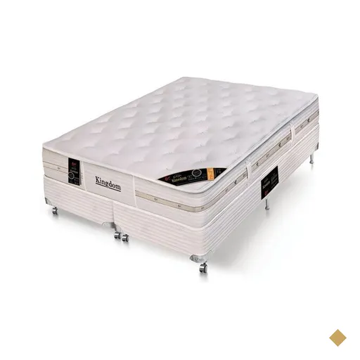 Conjunto Cama Box Queen Castor Kingdom Aloe Vera Pocket System - 158x198 cm