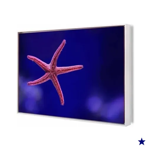 Quadro Canvas Estrela Do Mar Deep 90X60Cm Slim Branca M009