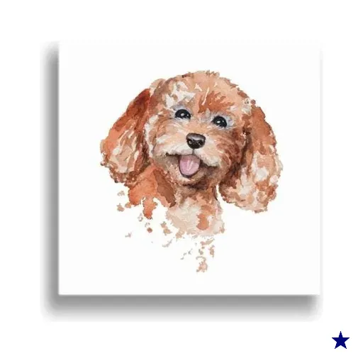 Quadro Pet Cachorro Poodle 60X60Cm