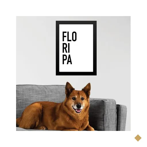 Quadro Decorativo Tipografia Floripa 45x34cm:moldura Branca